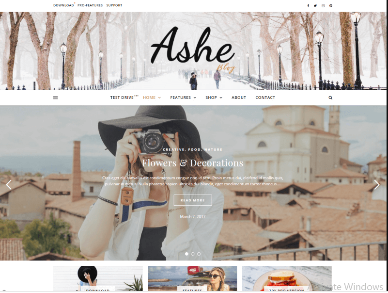Ashe wordpress theme