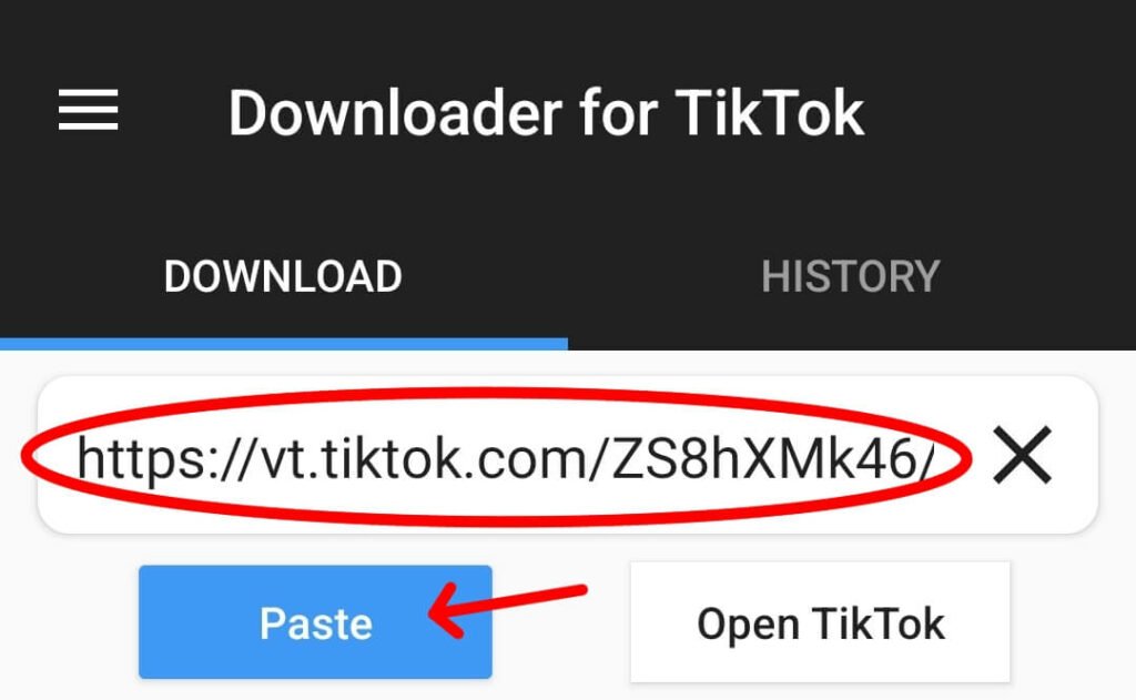 Downloader for TikTok 