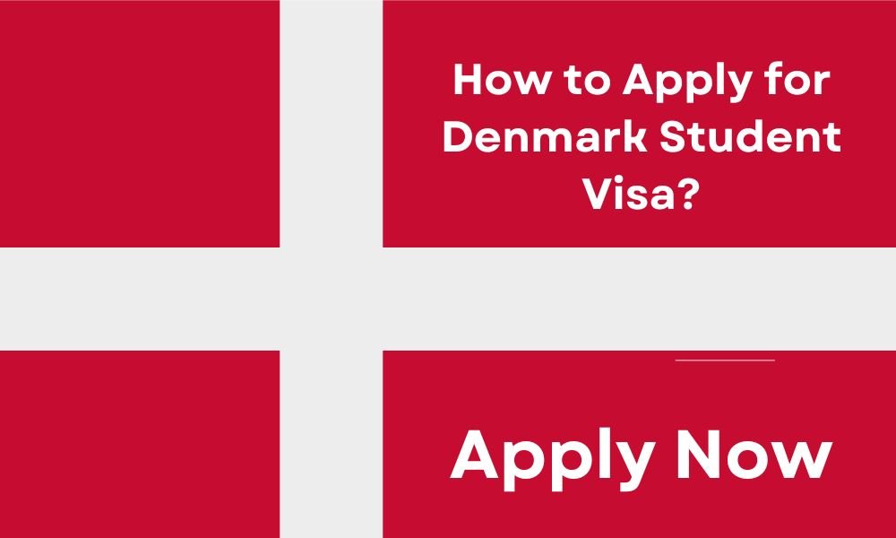 How to Apply for Denmark Student Visa?