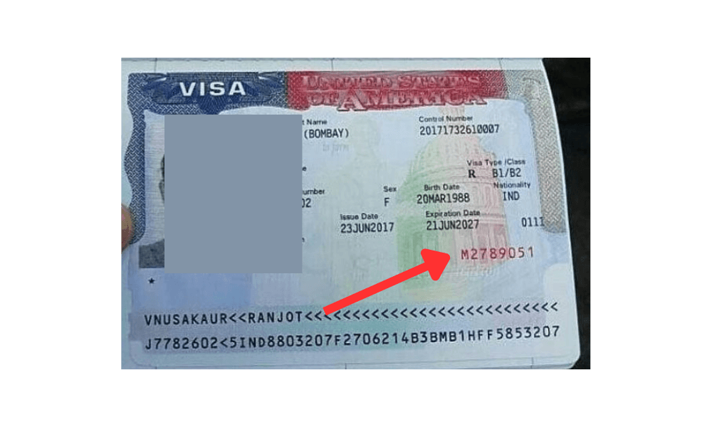 USA Visa Number