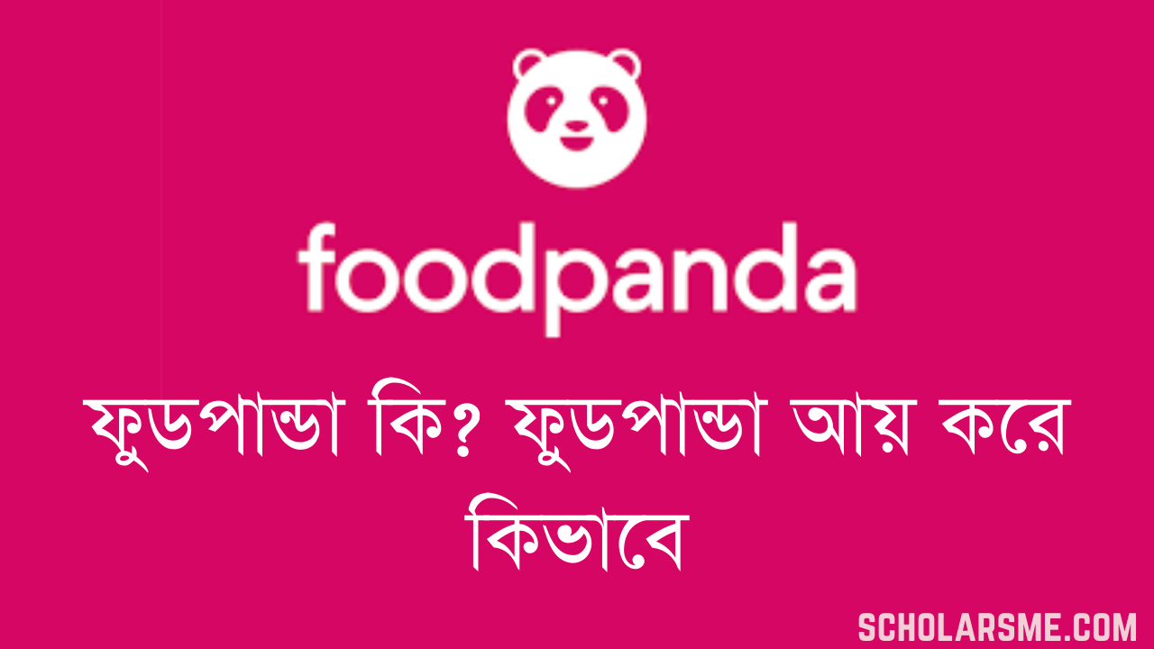 You are currently viewing Foodpanda কি? ফুডপান্ডা আয় করে কিভাবে | All about Foodpanda