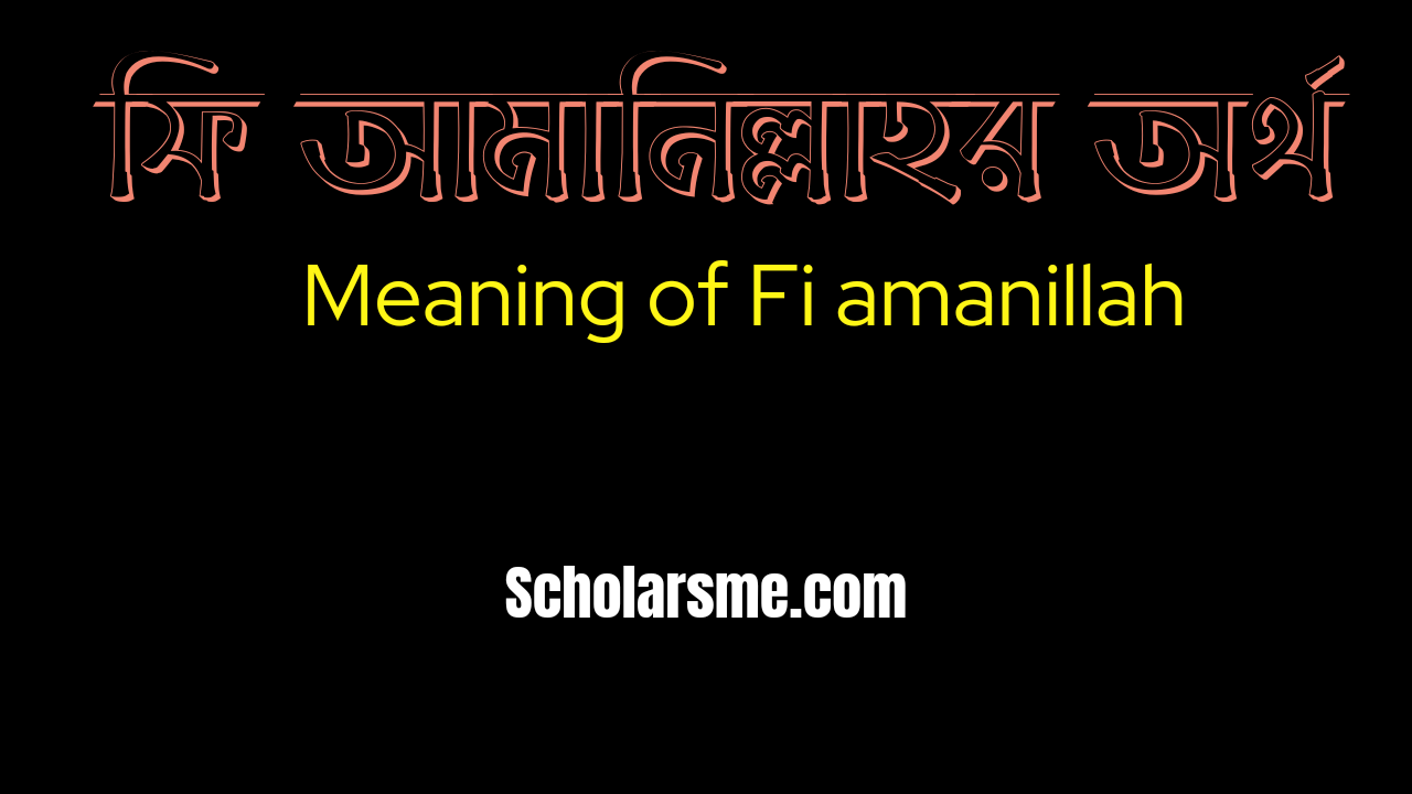 You are currently viewing ফি আমানিল্লাহ অর্থ কি? | Fi amanillah Meaning in Bangla