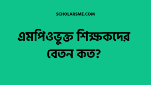 Read more about the article এমপিওভুক্ত শিক্ষকদের বেতন কত?