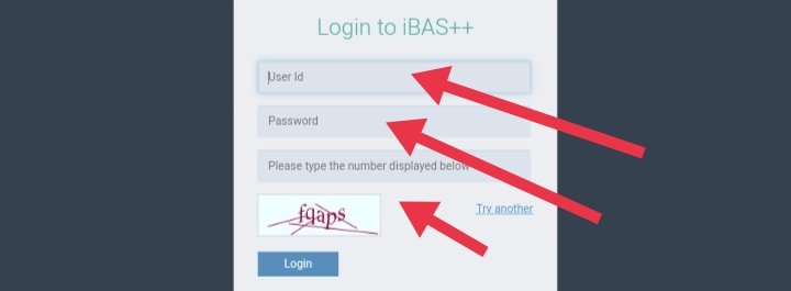 ibas++ registration