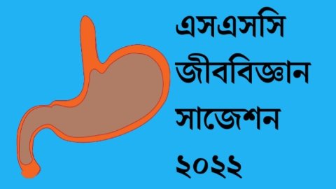 এসএসসি জীববিজ্ঞান সাজেশন ২০২২ | SSC Biology Suggestion 2022