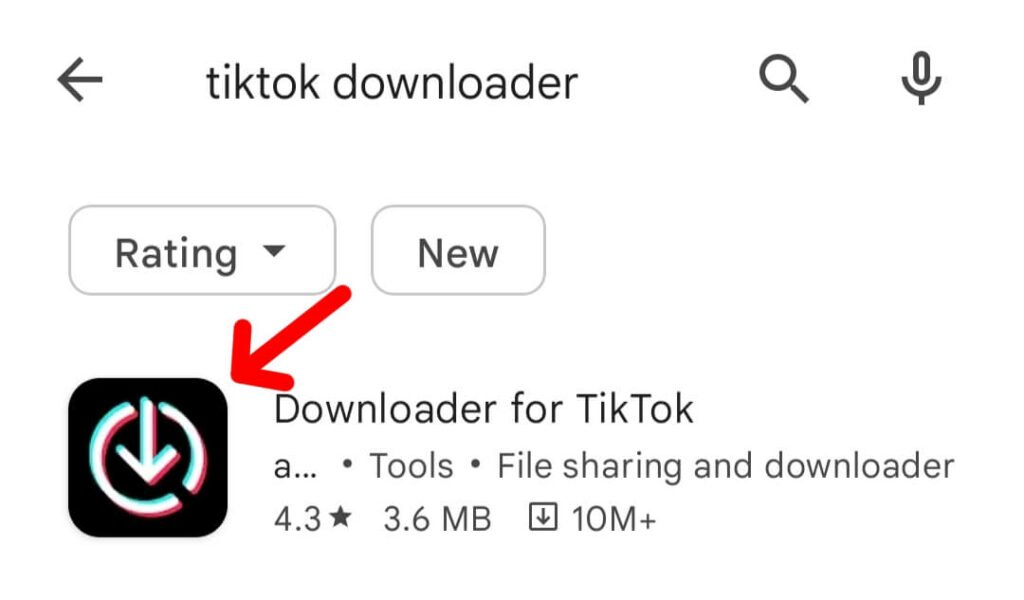 TikTok video downloader 