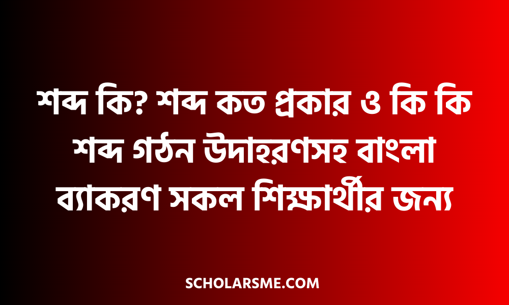 শব্দ কি? শব্দ কত প্রকার ও কি কি শব্দ গঠন উদাহরণসহ বাংলা ব্যাকরণ সকল শিক্ষার্থীর জন্য।