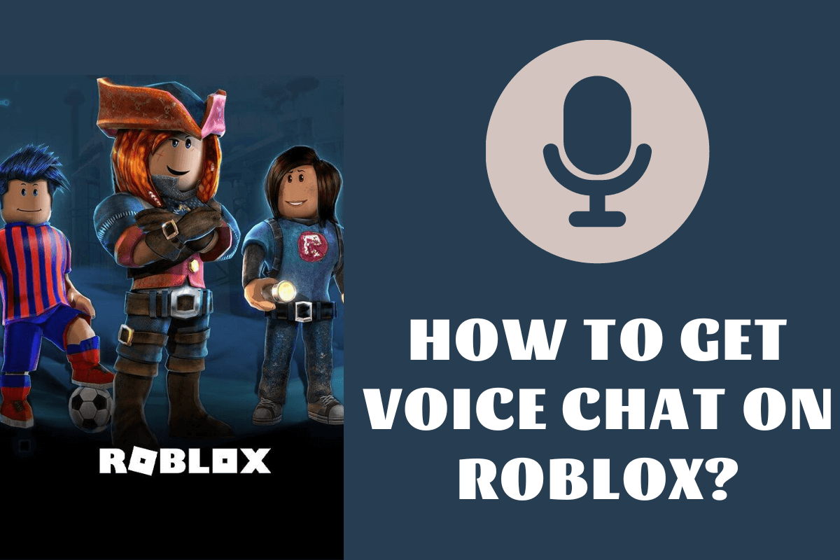 How to get voice chat on Roblox?