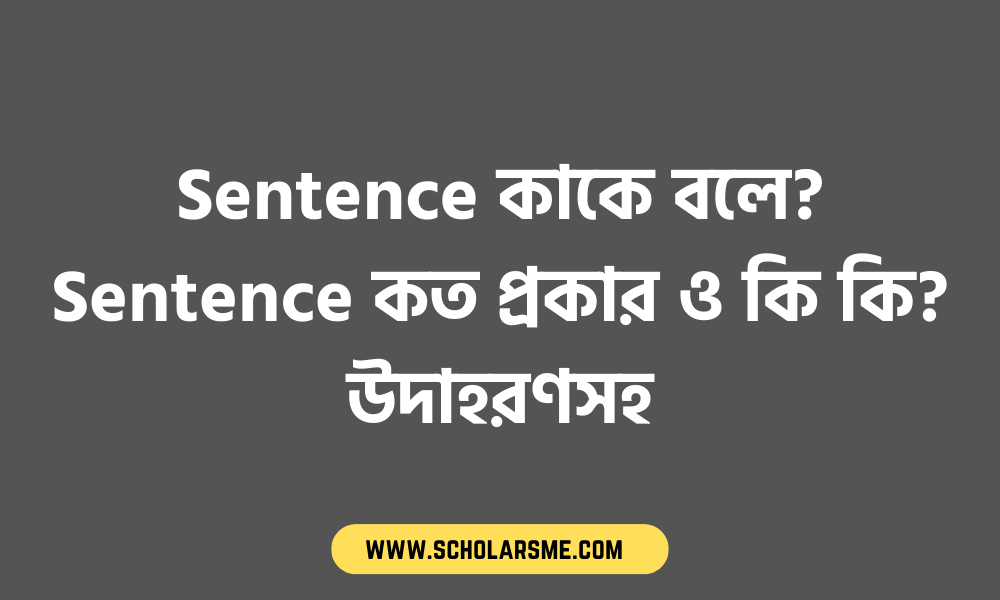 Sentence কাকে বলে? Sentence কত প্রকার ও কি কি? উদাহরণসহ