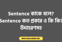 Sentence কাকে বলে? Sentence কত প্রকার ও কি কি? উদাহরণসহ