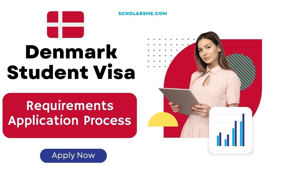 Denmark Student Visa Requirements And Application Process In 2024