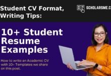 Student CV Format
