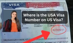 Where is the USA Visa Number on US Visa?