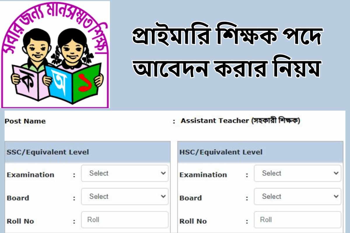 প্রাইমারি শিক্ষক পদে আবেদন করার নিয়ম
